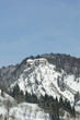 Chateau de Joux 1 Chateau de Joux 1