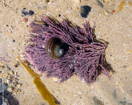 Photo: beachcombing 202 beachcombing 202