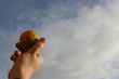 Woman hand holding yelow quince