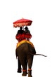 Foto: balade a dos d'elephant balade a dos d'elephant