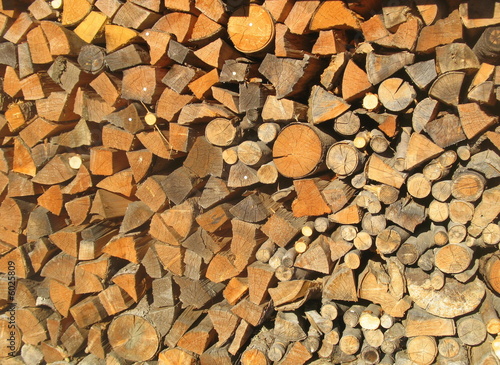 Photo: wood wood