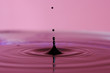 Ink droplet hitting water bowl with ripples heading outwards