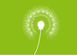 Pusteblume vektor Pusteblume vektor