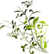 vecteur série - étrange plante vectorielle