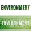 environment