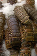 Seafood Market - Lobster Tails Seafood Market - Lobster Tails