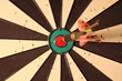 BULLSEYE!