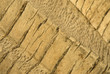 Foto: cocotier cocotier