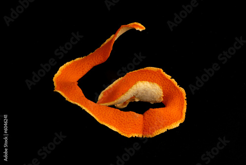 scorza