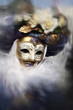 fashionable carnival of venice