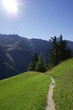 Photo: A path in the Alps with the sun in your face A path in the Alps with the sun in your face