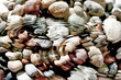 Stones
