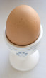 oeuf 