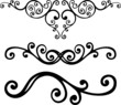floral lines floral lines
