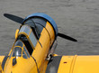 Antique Yellow Fighter