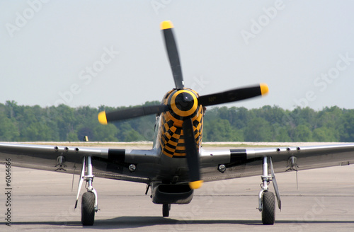 Photo: Intimidating Mustang Intimidating Mustang