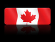 Pulsante canada