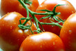 Tomaten Tomaten