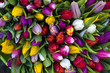 Tulpenstrauss 4