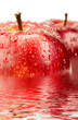 red apple - manzana roja
