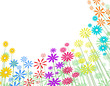 Basic flowers Basic flowers