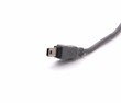 Photo: USB connector on a white background USB connector on a white background