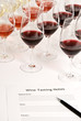 Wine Tasting