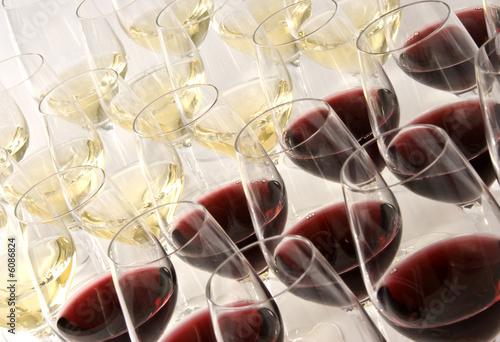 Foto: Wine Tasting Wine Tasting