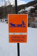 Chiens de Traineau