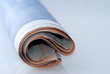 Newspaper
