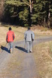nordic walking8