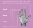 cyber hand scan
