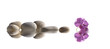 à fleur d'eau