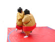 sumo 3