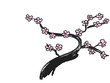 Japanese traditional art of a cherry blossom tree Japanese traditional art of a cherry blossom tree