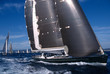 Les Voiles de Saint Tropez