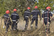 Foto: firemen putting out bush fire firemen putting out bush fire