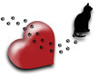 The cat walks all over my heart The cat walks all over my heart