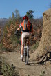 Vélo
