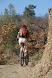 VTT