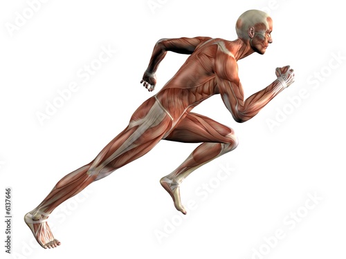 Illustration: Running Muscle Man Running Muscle Man