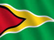 Flag of Guyana