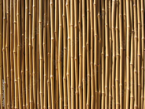 Photo: Bamboo wall Bamboo wall