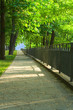 park alley under green trees leaves with fence