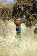 Transport de brousse Transport de brousse