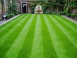 lawn and garden