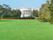 The White House
