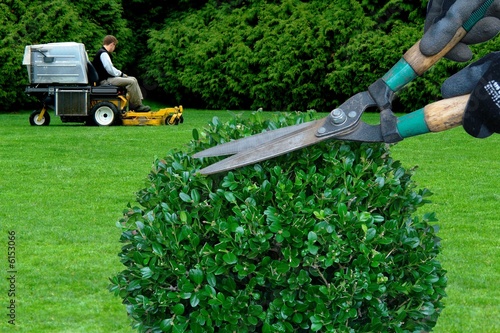 photo par Horticulture