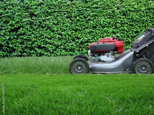  Lawn Fertilizer on Lawn Care    Horticulture  6153077   See Portfolio