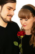 Romantic Couple Holding Rose